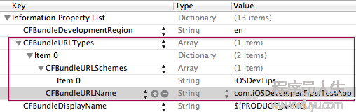 iOS Custom URL Scheme