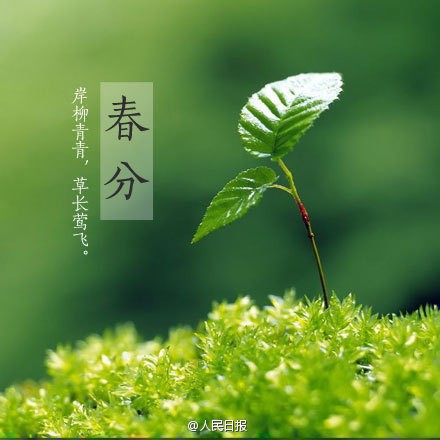 poster_spring_1.jpg