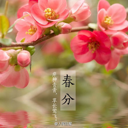 這里寫圖片描述