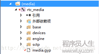 WebRTC學習之九：攝像頭的捕捉和顯示