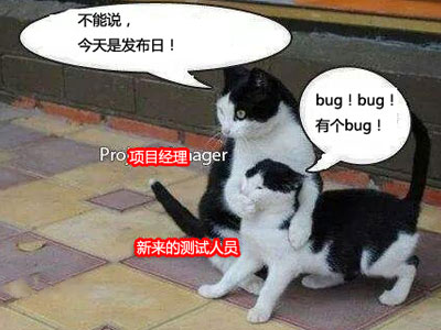 不能說