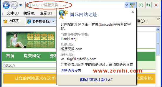 中文域名網站